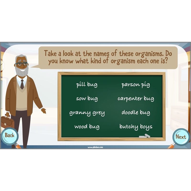 PlanBee Living Things and their Habitats Year 6 | Classifying Organisms
