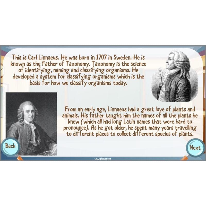 PlanBee Living Things and their Habitats Year 6 | Classifying Organisms