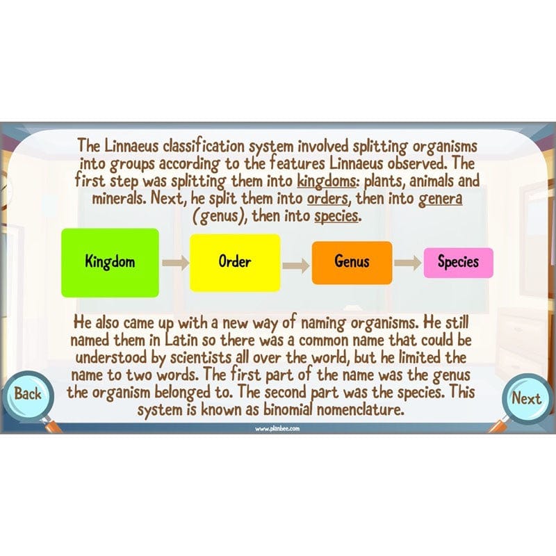 PlanBee Living Things and their Habitats Year 6 | Classifying Organisms
