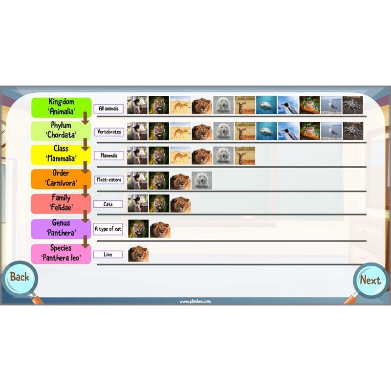 PlanBee Living Things and their Habitats Year 6 | Classifying Organisms