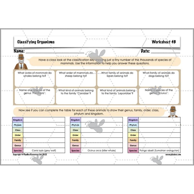 PlanBee Living Things and their Habitats Year 6 | Classifying Organisms