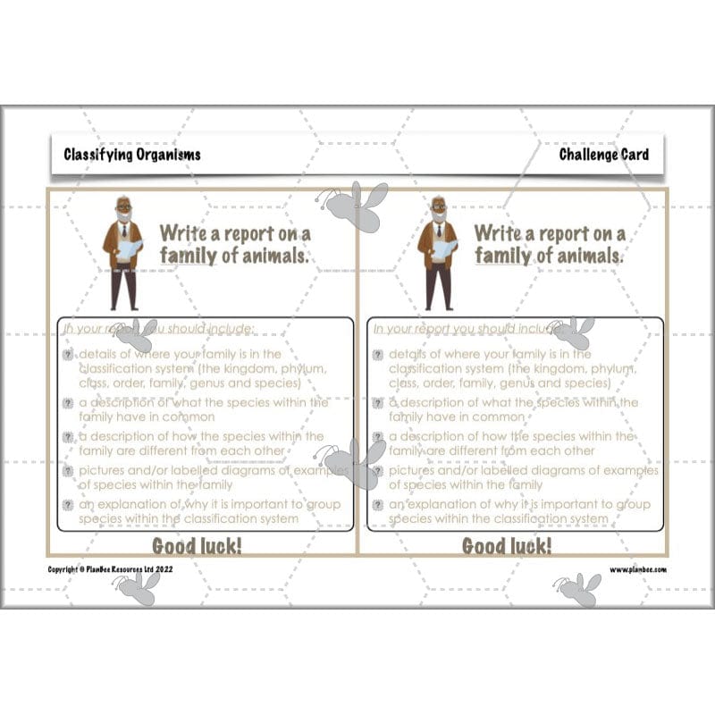 PlanBee Living Things and their Habitats Year 6 | Classifying Organisms