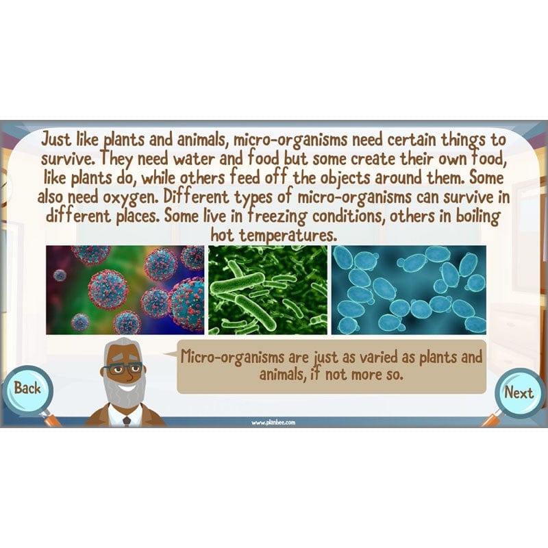 PlanBee Living Things and their Habitats Year 6 | Classifying Organisms