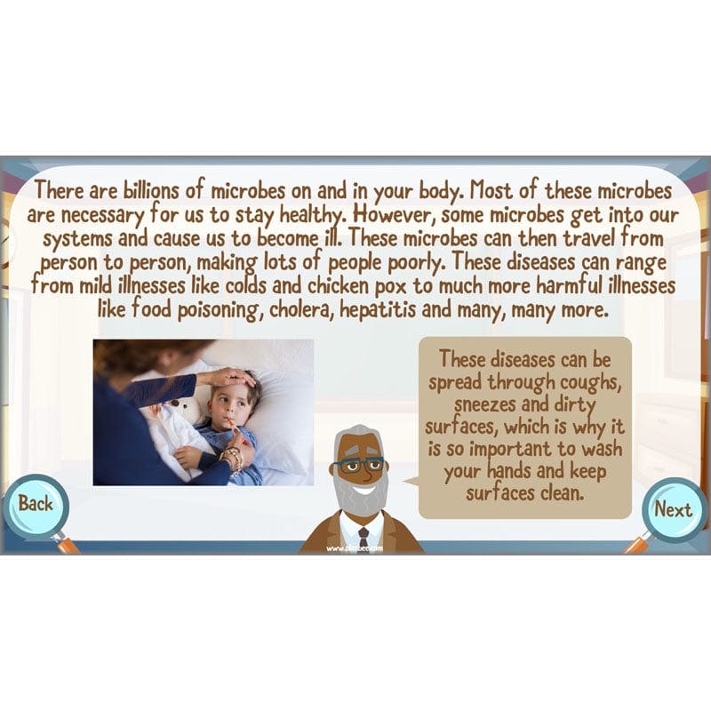 PlanBee Living Things and their Habitats Year 6 | Classifying Organisms