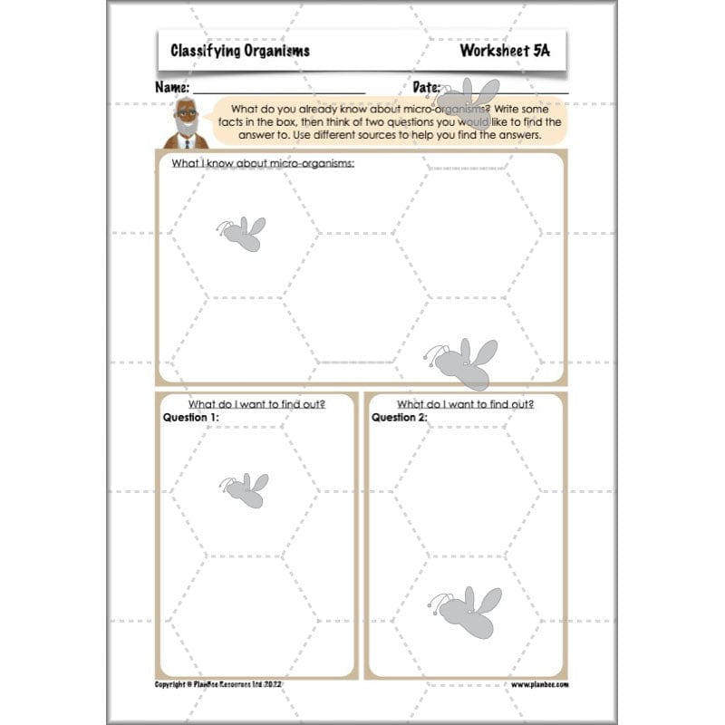 PlanBee Living Things and their Habitats Year 6 | Classifying Organisms