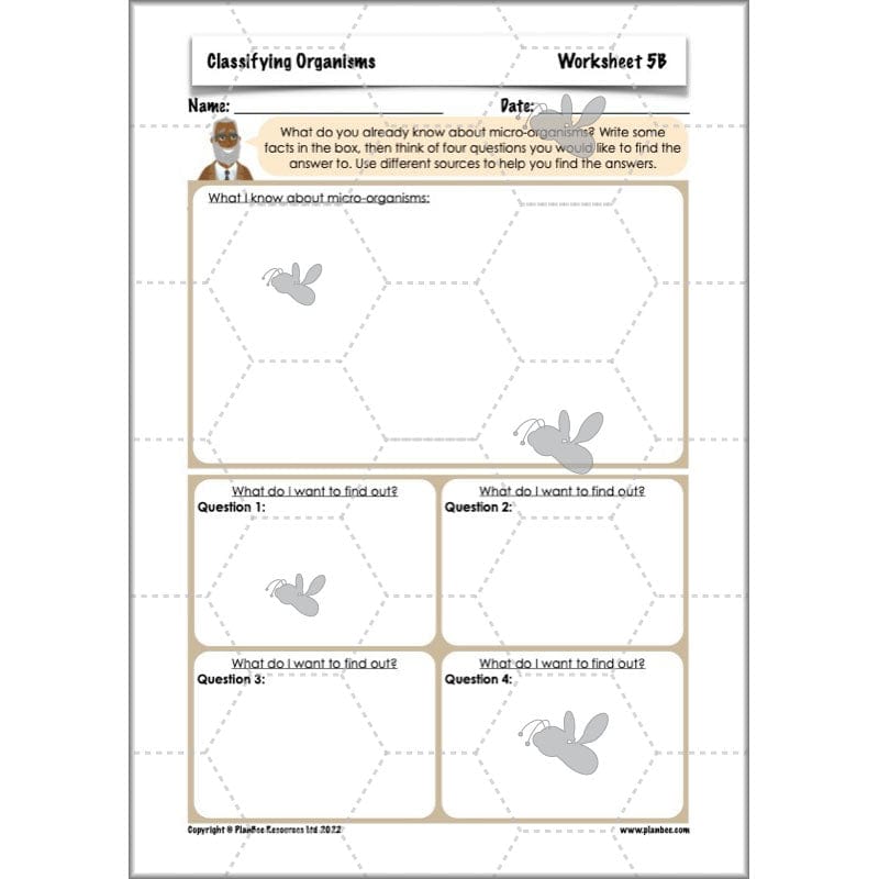 PlanBee Living Things and their Habitats Year 6 | Classifying Organisms