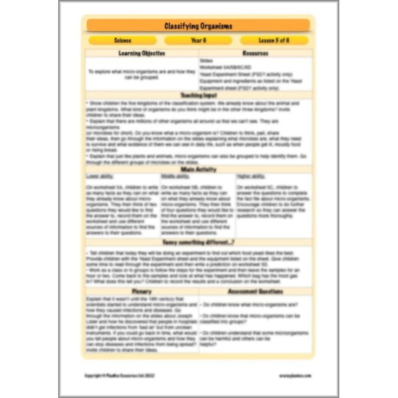 PlanBee Living Things and their Habitats Year 6 | Classifying Organisms