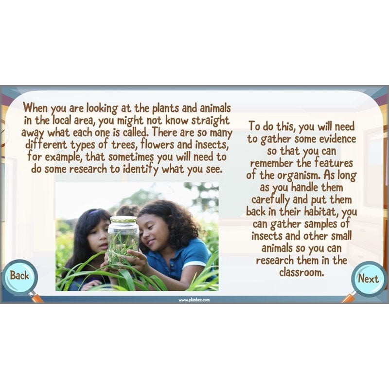 PlanBee Living Things and their Habitats Year 6 | Classifying Organisms