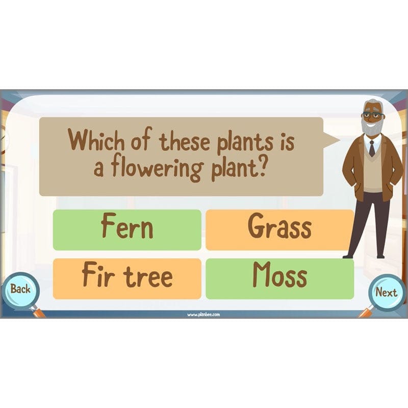 PlanBee Living Things and their Habitats Year 6 | Classifying Organisms