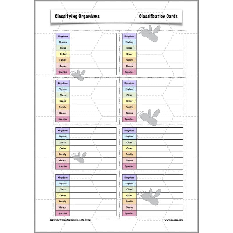 PlanBee Living Things and their Habitats Year 6 | Classifying Organisms