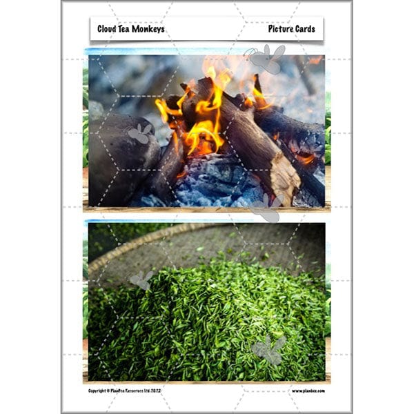 PlanBee Cloud Tea Monkeys Year 4 English Lessons by PlanBee