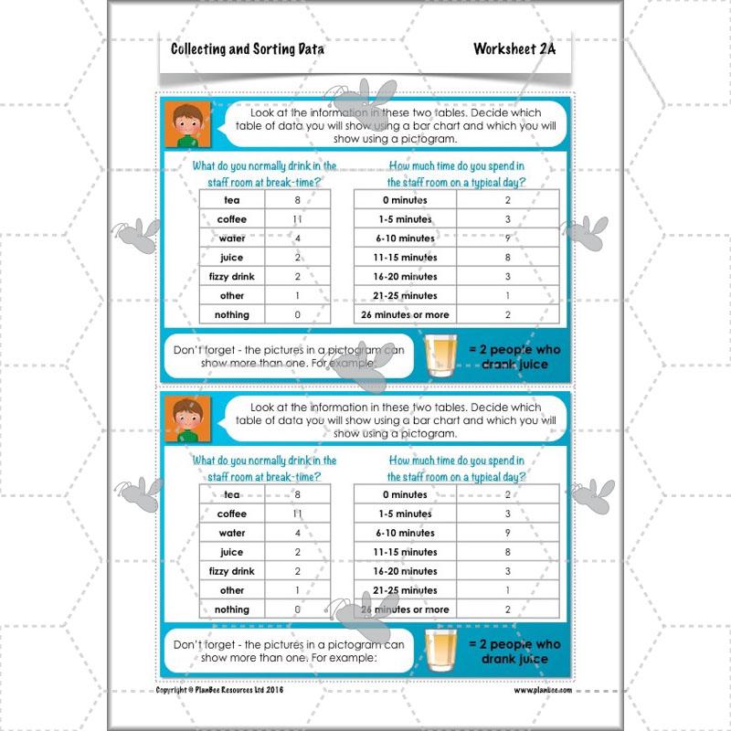 PlanBee Collecting and Sorting Data Year 3 Statistics by PlanBee