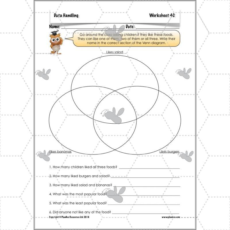 PlanBee Data Handling Year 4 Maths Lessons by PlanBee
