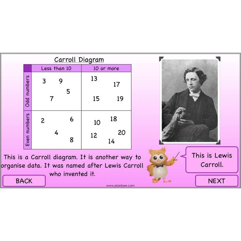 PlanBee Data Handling Year 4 Maths Lessons by PlanBee