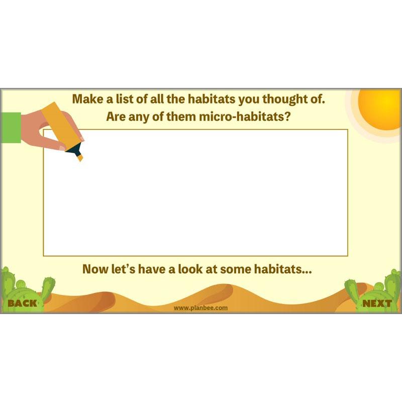 PlanBee Desert Life: KS2 Science Plans