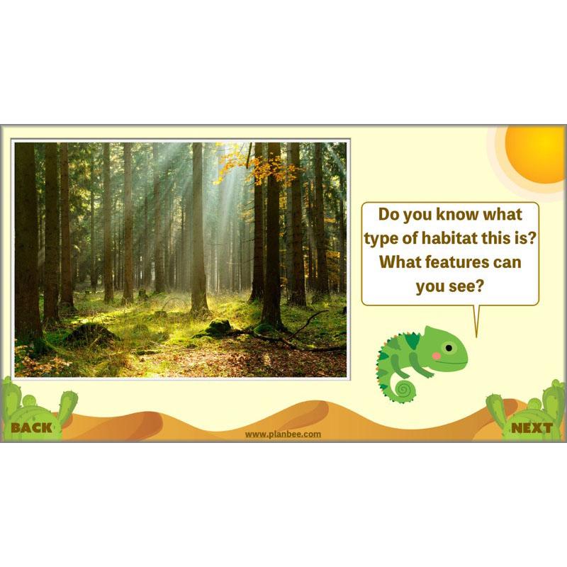 PlanBee Desert Life: KS2 Science Plans