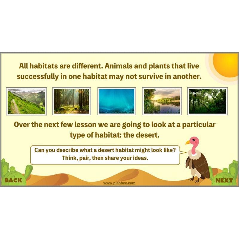 Desert Habitat KS2 Science Lessons by PlanBee