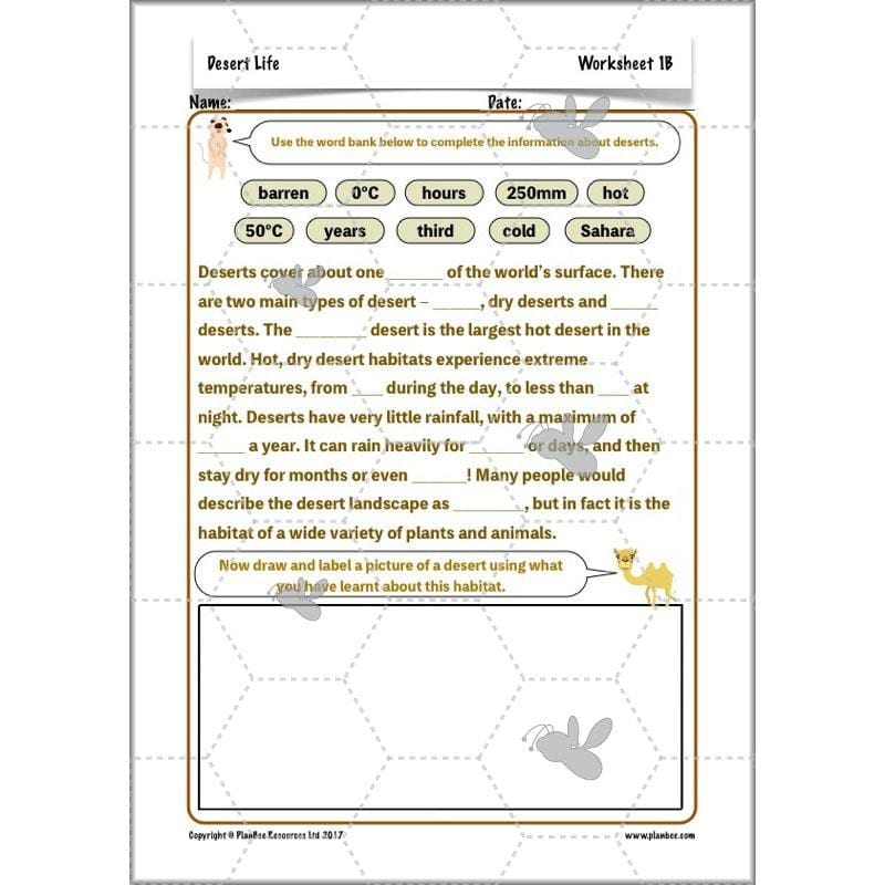 PlanBee Desert Life: KS2 Science Plans