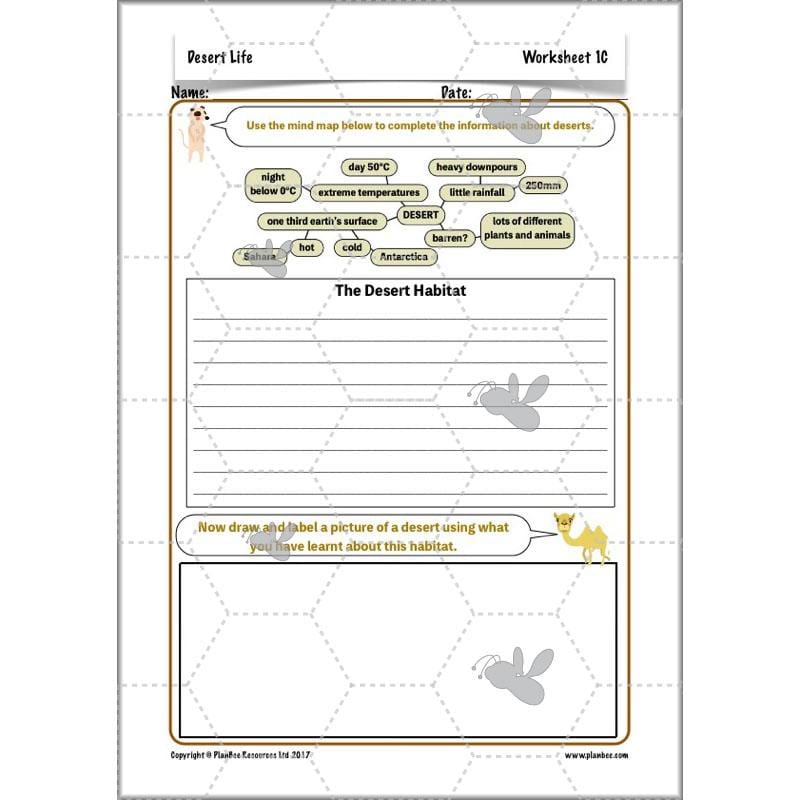 PlanBee Desert Life: KS2 Science Plans