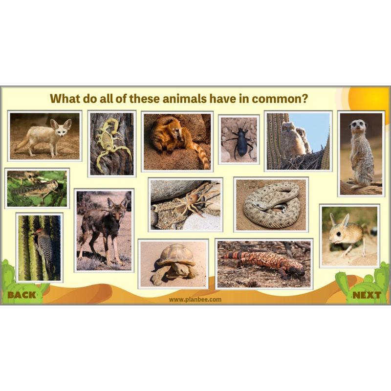 PlanBee Desert Life: KS2 Science Plans