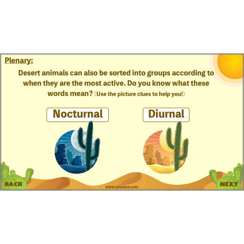 PlanBee Desert Life: KS2 Science Plans