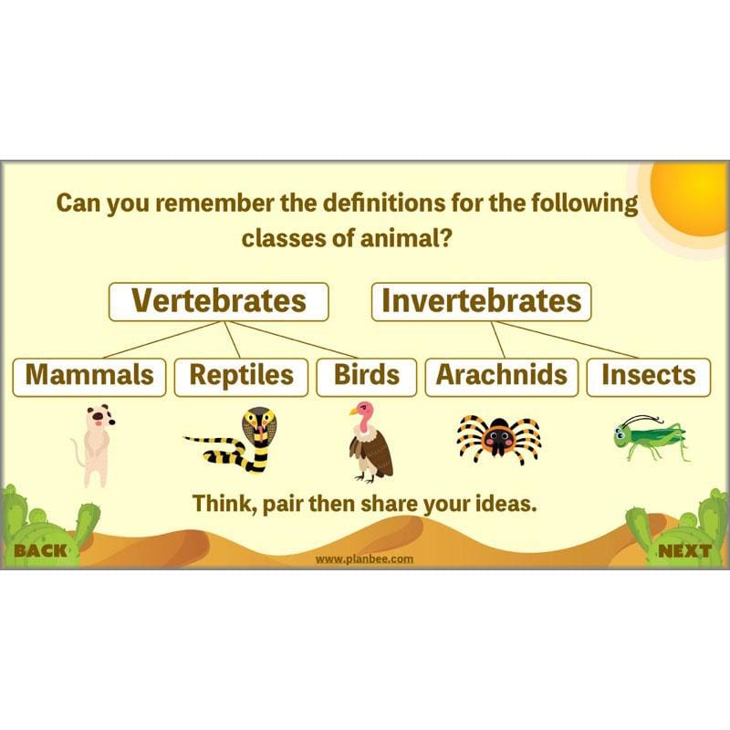 PlanBee Desert Life: KS2 Science Plans