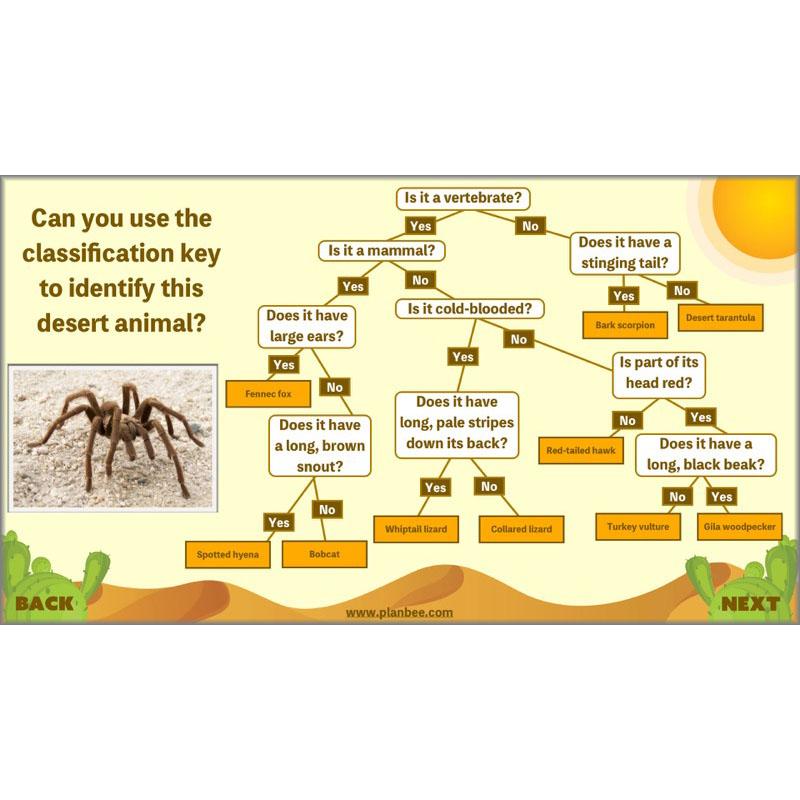 PlanBee Desert Life: KS2 Science Plans