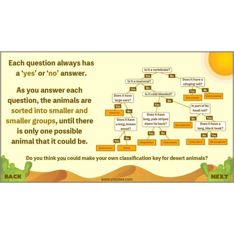 PlanBee Desert Life: KS2 Science Plans