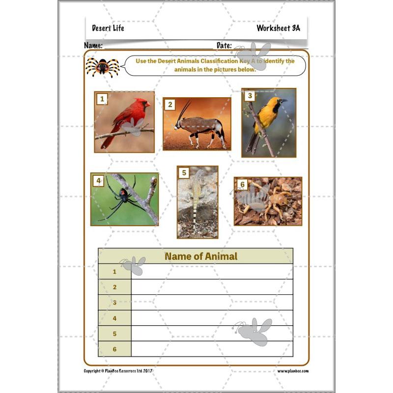 PlanBee Desert Life: KS2 Science Plans