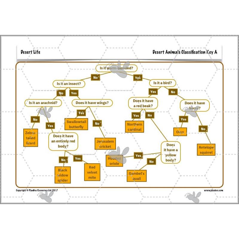 PlanBee Desert Life: KS2 Science Plans