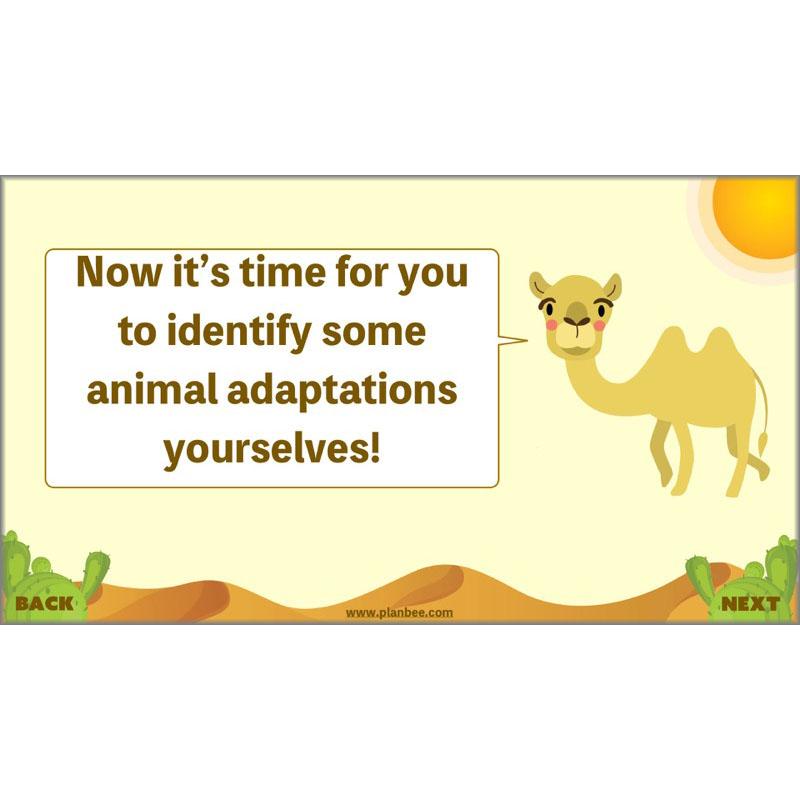 PlanBee Desert Life: KS2 Science Plans