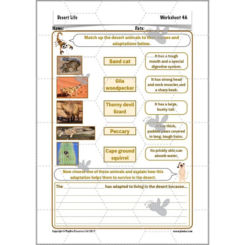PlanBee Desert Life: KS2 Science Plans