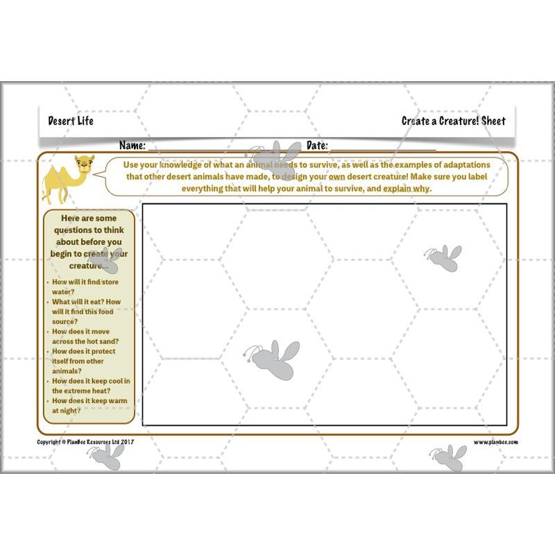 PlanBee Desert Life: KS2 Science Plans