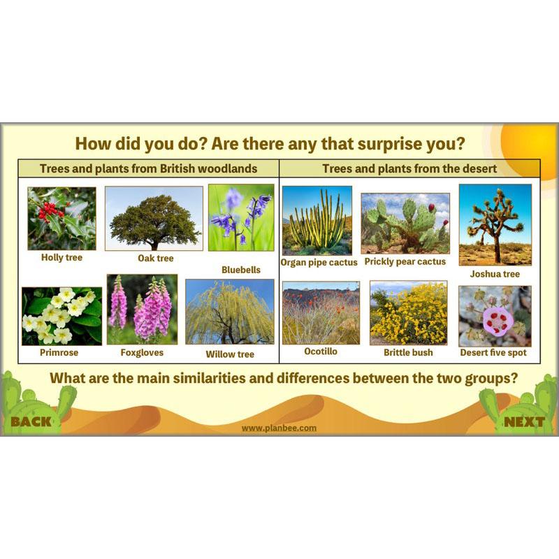 Desert Habitat KS2 Science Lessons by PlanBee