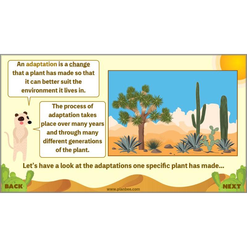 PlanBee Desert Life: KS2 Science Plans