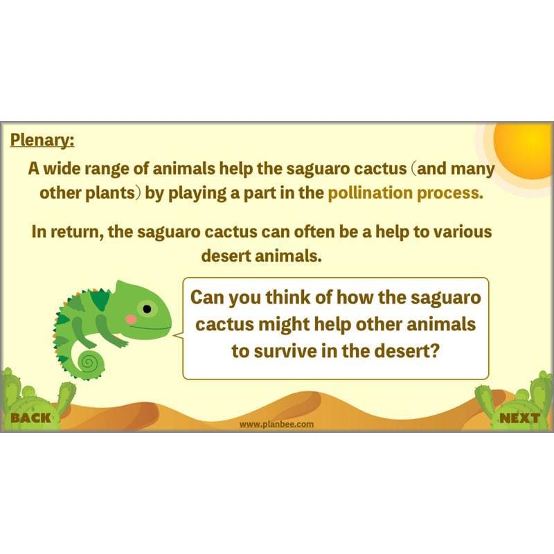 PlanBee Desert Life: KS2 Science Plans