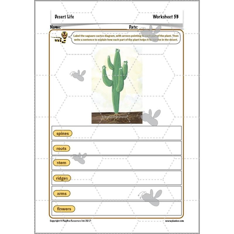 Desert Habitat KS2 Science Lessons by PlanBee