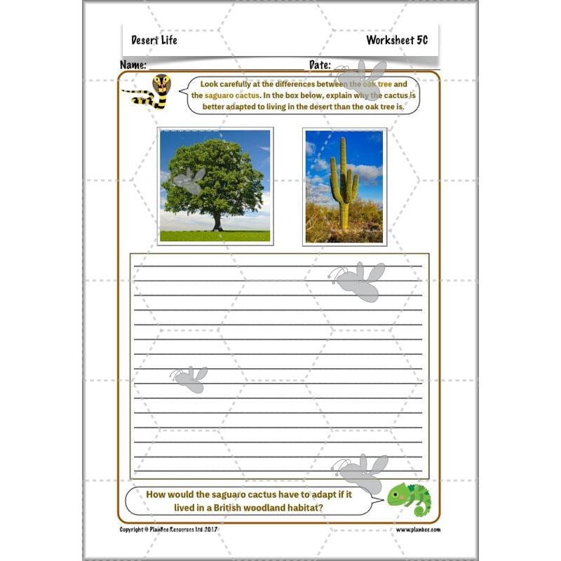 PlanBee Desert Life: KS2 Science Plans