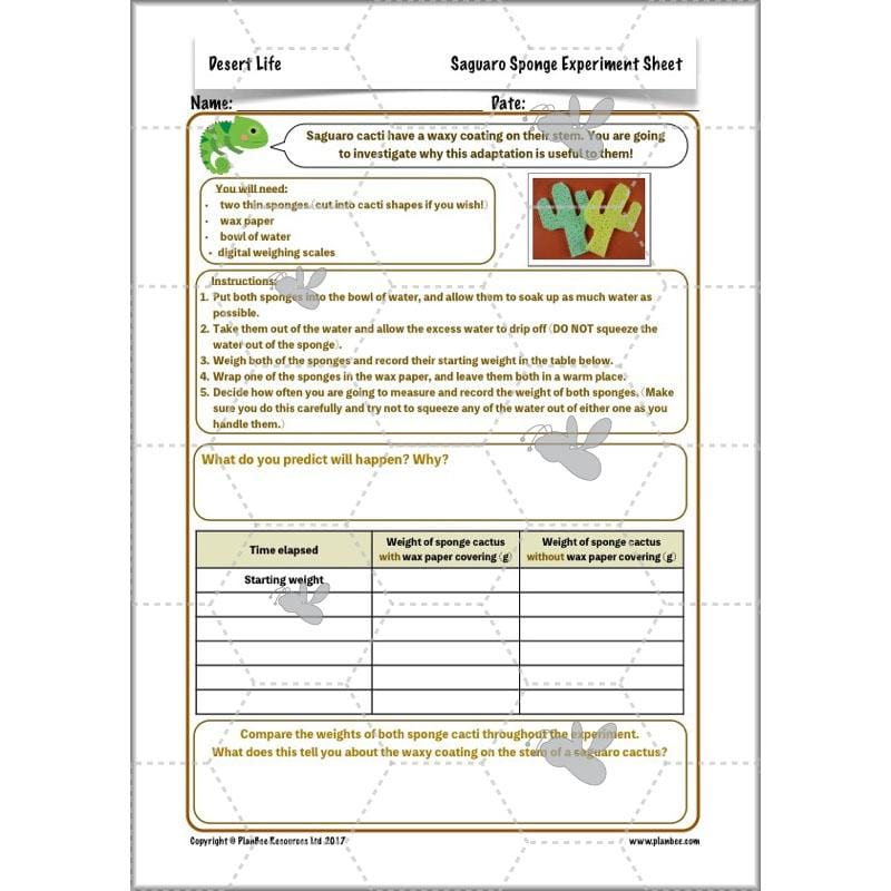 PlanBee Desert Life: KS2 Science Plans