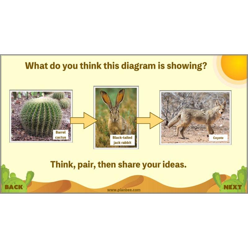 PlanBee Desert Life: KS2 Science Plans