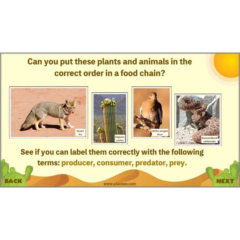 PlanBee Desert Life: KS2 Science Plans