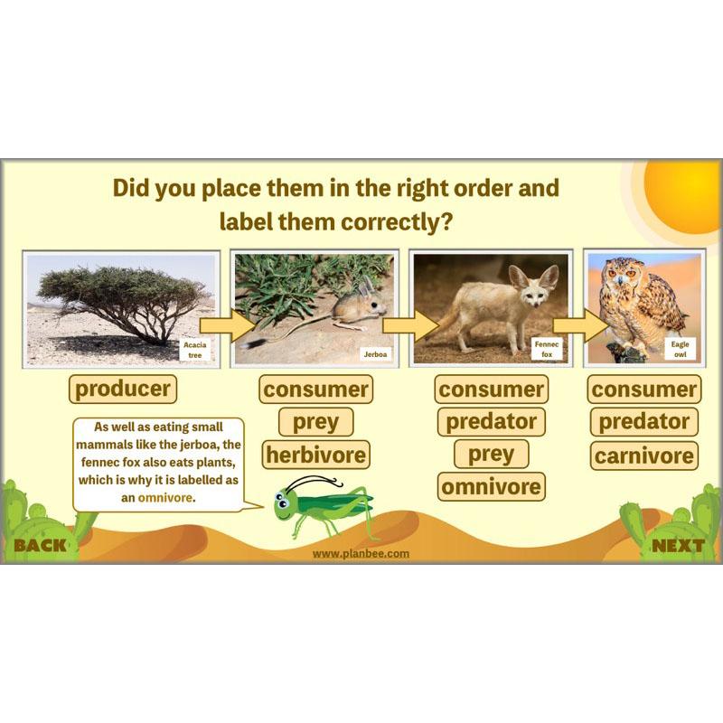 Desert Habitat KS2 Science Lessons by PlanBee