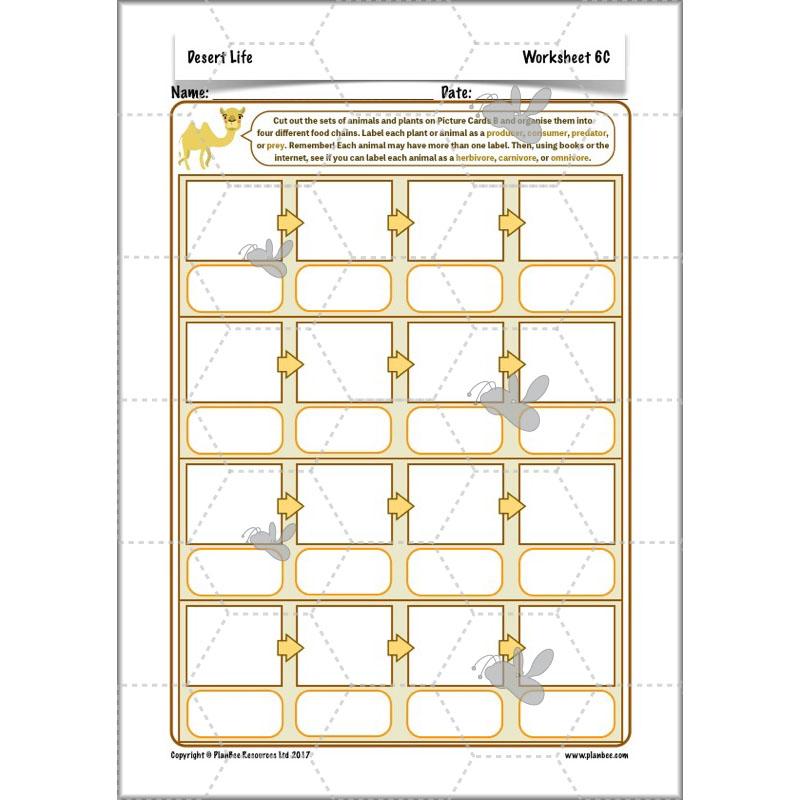 PlanBee Desert Life: KS2 Science Plans
