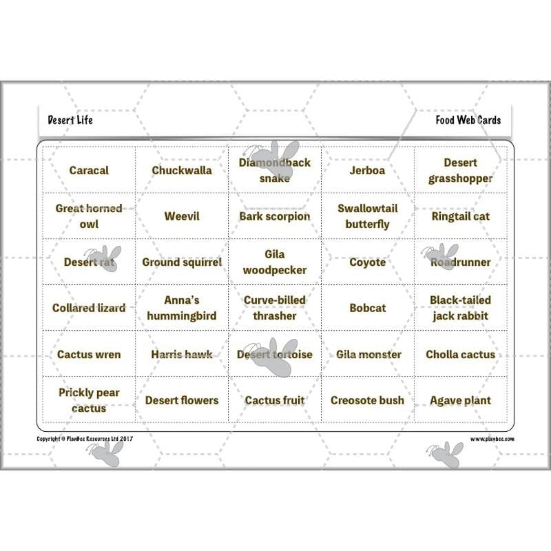 PlanBee Desert Life: KS2 Science Plans