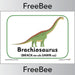 FREE Brachiosaurus Dinosaur Display Posters by PlanBee