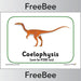 FREE Coelophysis Dinosaur Display Posters by PlanBee