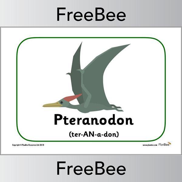FREE Pteranodon Dinosaur Display Posters by PlanBee
