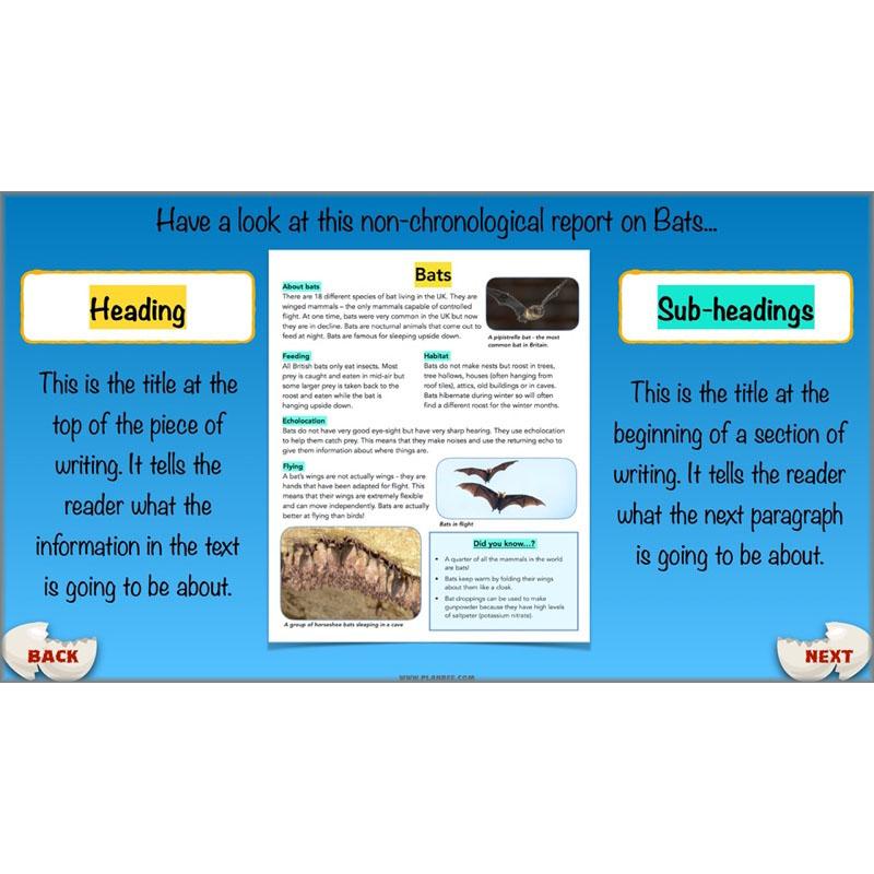 PlanBee Dragons KS2 | Non-chronological Reports Planning | Year 4