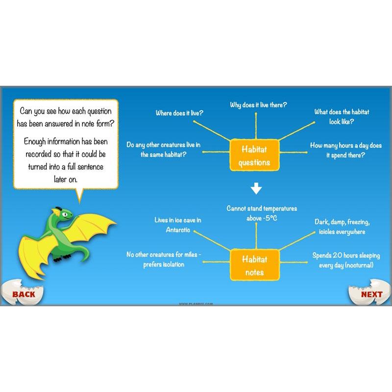 PlanBee Dragons KS2 | Non-chronological Reports Planning | Year 4