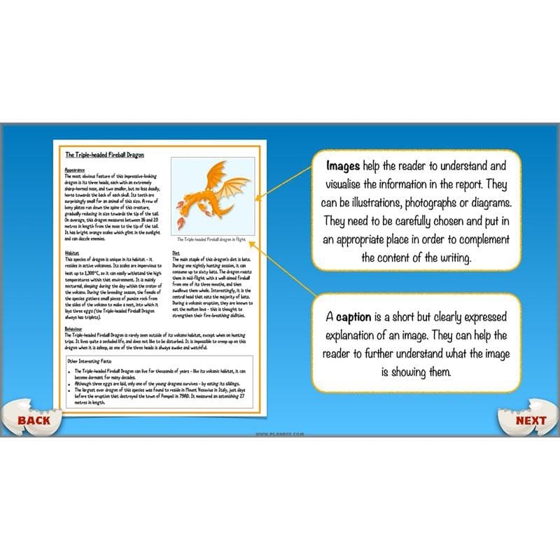 PlanBee Dragons KS2 | Non-chronological Reports Planning | Year 4